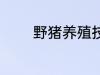 野猪养殖技术 野猪养殖技巧