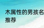 木属性的男孩名字 木属性的男孩名字推荐