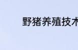 野猪养殖技术 野猪养殖技巧