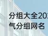 分组大全2022最新版的 高冷二字霸气分组网名