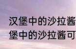 汉堡中的沙拉酱可以用炼乳代替吗 汉堡中的沙拉酱可不可以用炼乳代替