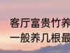 客厅富贵竹养几支最旺运 水养富贵竹一般养几根最旺财