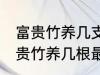 富贵竹养几支最旺运属蛇的 属蛇养富贵竹养几根最招财