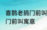 喜鹊老鸹门前叫有什么兆头 喜鹊老鸹门前叫寓意