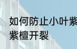 如何防止小叶紫檀开裂 怎样防止小叶紫檀开裂