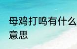 母鸡打鸣有什么坏兆头 母鸡打鸣什么意思