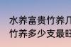 水养富贵竹养几支最旺运财 水养富贵竹养多少支最旺运财