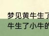 梦见黄牛生了小牛有什么兆头 梦见黄牛生了小牛的寓意是啥