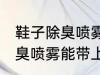 鞋子除臭喷雾可以带上高铁吗 鞋子除臭喷雾能带上高铁吗