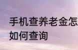 手机查养老金怎么查询 手机查养老金如何查询