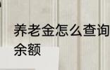 养老金怎么查询余额 养老金如何查询余额