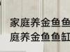 家庭养金鱼鱼缸里放什么水草好呢 家庭养金鱼鱼缸里放哪种水草好呢