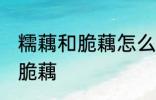 糯藕和脆藕怎么区分 如何区别糯藕和脆藕