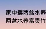 家中摆两盆水养富贵竹好不好 家中摆两盆水养富贵竹可以吗