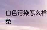 白色污染怎么样避免 白色污染如何避免