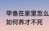 甲鱼在家里怎么养才不死 甲鱼在家里如何养才不死