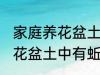 家庭养花盆土中有蚯蚓怎么办 家庭养花盆土中有蚯蚓的解决方法