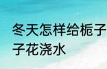 冬天怎样给栀子花浇水 冬天如何给栀子花浇水