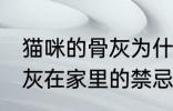 猫咪的骨灰为什么不能放家里 宠物骨灰在家里的禁忌